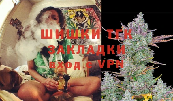винт Арсеньев