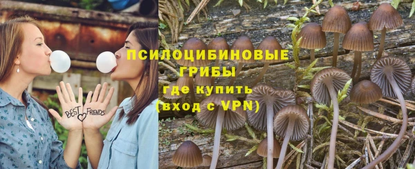винт Арсеньев